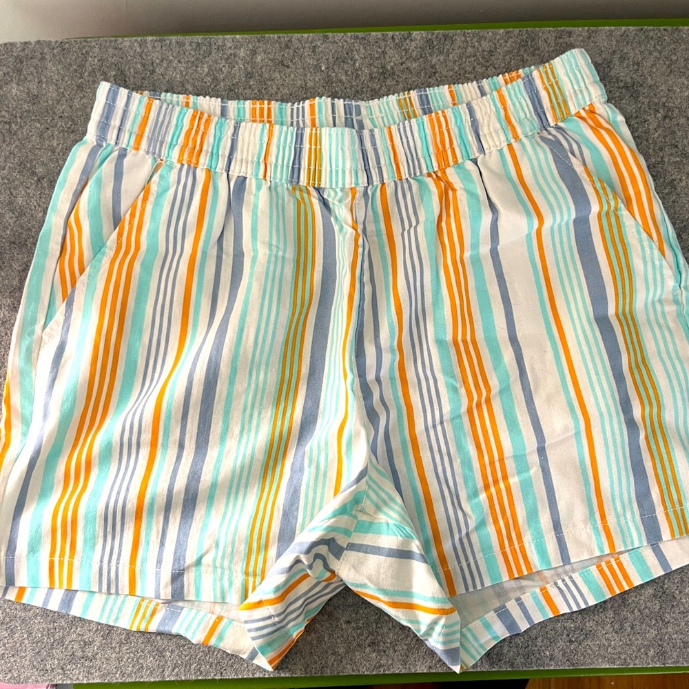 Striped Multicolor Casual Shorts